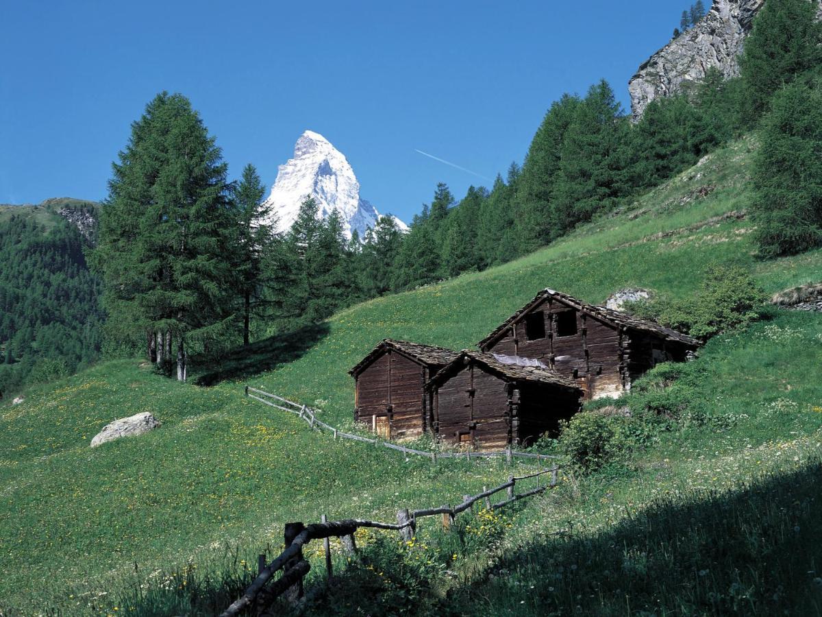 Apartment Sungold-1 By Interhome Zermatt Buitenkant foto