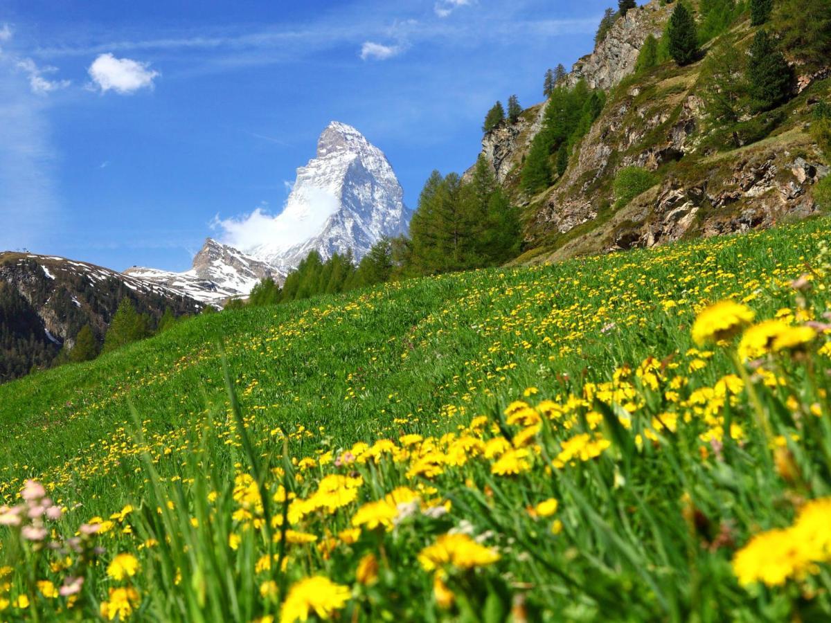 Apartment Sungold-1 By Interhome Zermatt Buitenkant foto